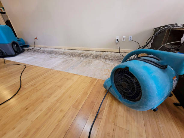 Professional Flood Damage Cleanup technician working in Kamrar, IA
